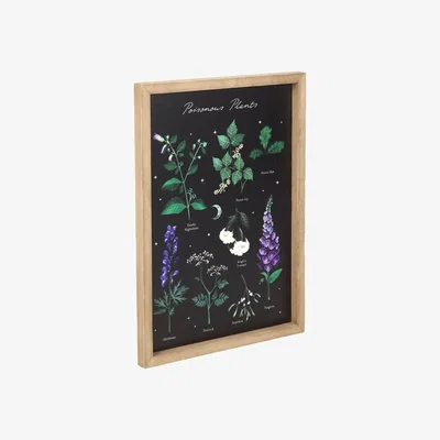 The Range Poisonous Plants Wall Art - Framed Gothic Botanical Print - Black