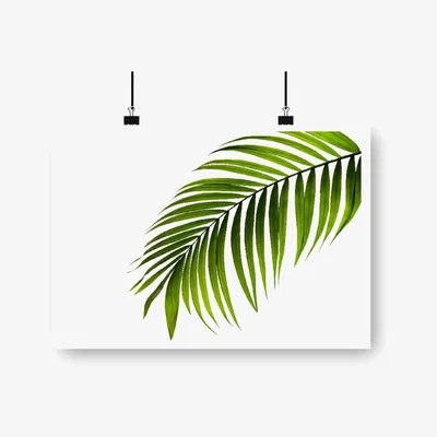 The Range Single Palm Leaf Art Print - Green / 84.1cm