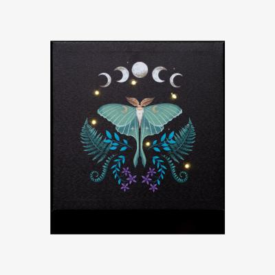 The Range Light up Luna Moth Canvas Print 30 cm - Multicolour