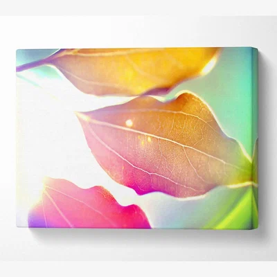 The Range Coloured Leaves Canvas Print Wall Art - Yellow / 66.04cm