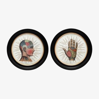 The Range Set Of 2 Phrenology Wall Art  - Black