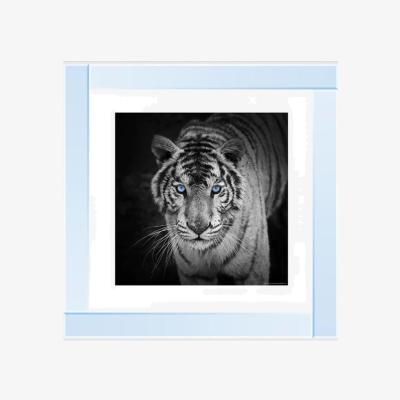 The Range Blue Eyes Tiger Glitter Liquid Wall Art Decor - Silver