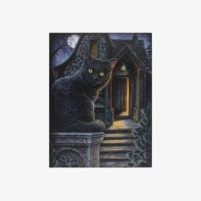 The Range Black Cat Printed Canvas - Black