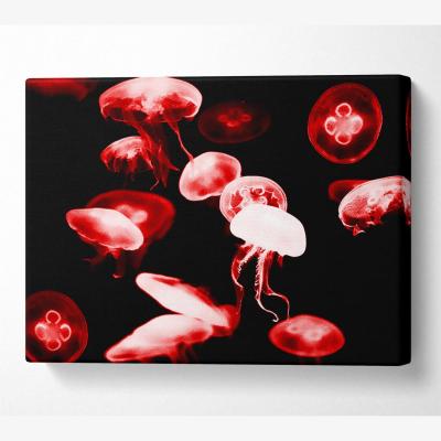 The Range Red Neon Jellyfish Canvas Print Wall Art - Yellow / 50.8cm