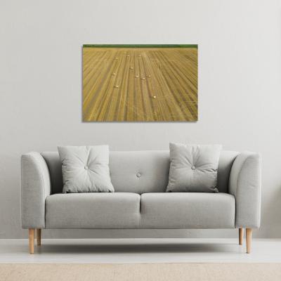 The Range straw bales of wheat lying on harvested field Canvas Print - Yellow / 152cm / 101cm