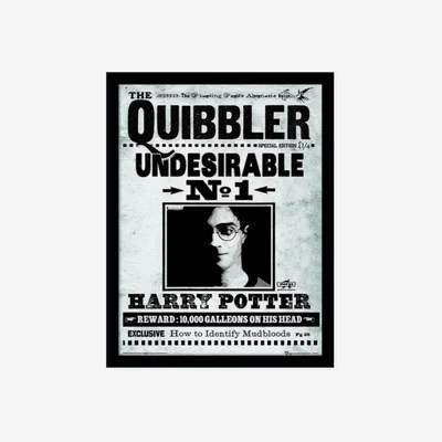 The Range Harry Potter (The Quibbler) Framed Print
