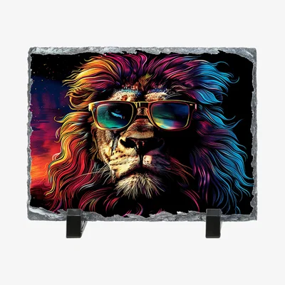 The Range Lion Sunglasses Photo Rock Slate - Slate