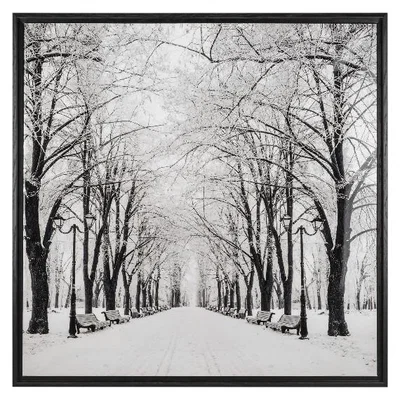 The Range Snowy Boulevard Canvas