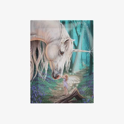 The Range Fairy Whispers Canvas Plaque by Lisa Parker - 19x25cm Unicorn  Fairy Art - Teal