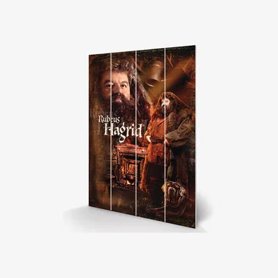 The Range Harry Potter (Hagrid) Wall Art