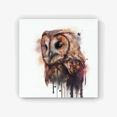 The Range Tawny Owl Face Splashart Light Background HD Metal Print - Brown / 56cm