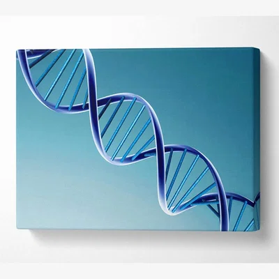 The Range Twin Helix Canvas Print Wall Art - Yellow / 35.56cm