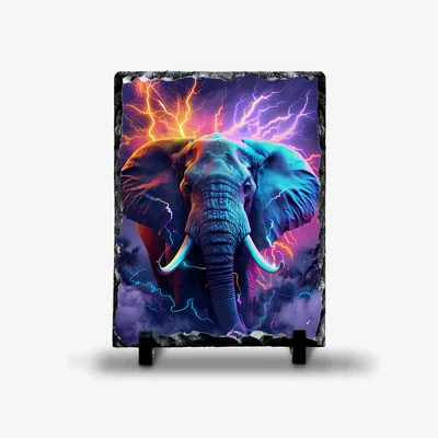 The Range Neon Elephant Photo Rock Slate - Slate