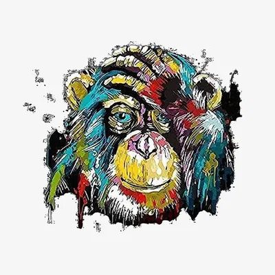 The Range Cute Monkey Diamond Art Painting - Multi