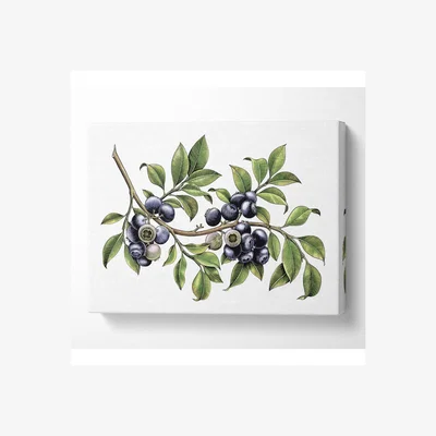 The Range Blueberry Branch Canvas Print - Black / 50.8cm