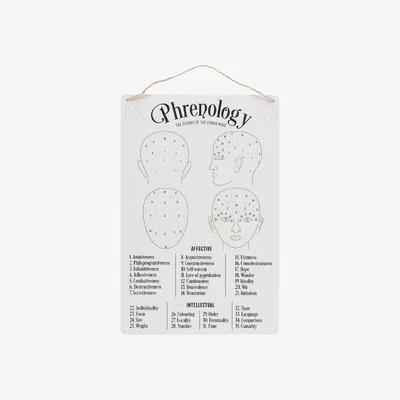 The Range Vintage Phrenology Metal Sign - White