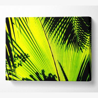 The Range Lime Palm Tree Canvas Print Wall Art - Yellow / 66.04cm