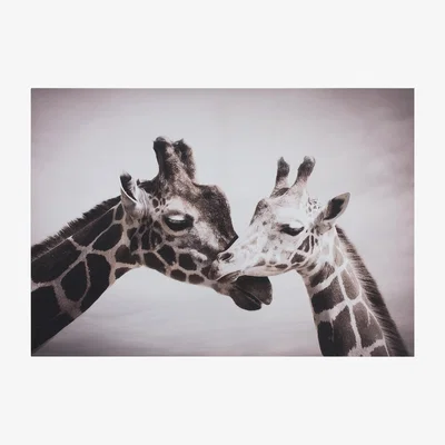 The Range Giraffe Affection Canvas