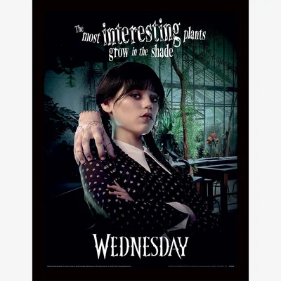 The Range Wednesday (Shade) Framed Print - Black