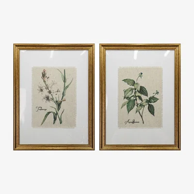 The Range Gold Framed Botanical Flowers Wall Art