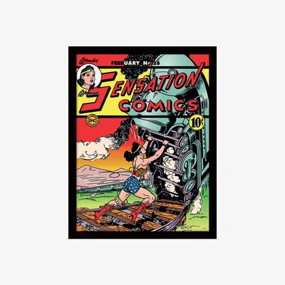 The Range Wonder Woman (Train Tussle) Framed Print