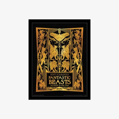 The Range Fantastic Beasts The Crimes Of Grindelwald (Where to Find Them) Framed Print