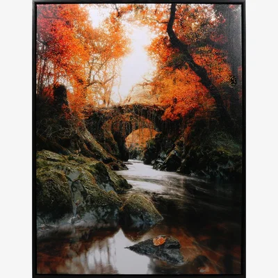 The Range Autumnal Forest Framed Canvas - Orange