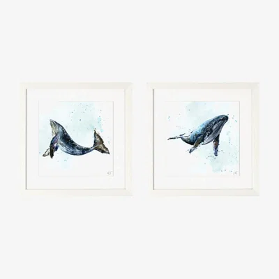 The Range Watercolour Whale Framed Art