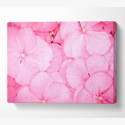 The Range Bed Of Petals Canvas Print Wall Art - Yellow / 50.8cm