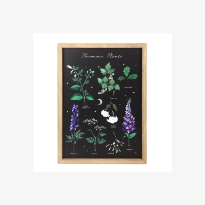 The Range Something Different Poisonous Plants Framed Wall Art - Multicoloured