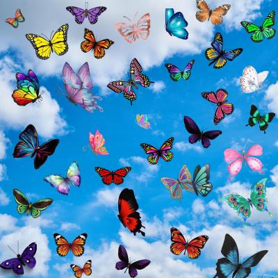 The Range Butterflies Canvas - Blue