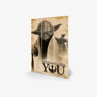 The Range Star Wars (Yoda - May The Force) Wall Art