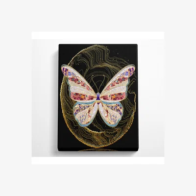 The Range Colourful Butterfly  Gold Lines Canvas Print - Black / 66.04cm