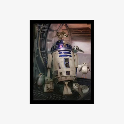 The Range Star Wars The Last Jedi (R2D2 and Porgs) Framed Print