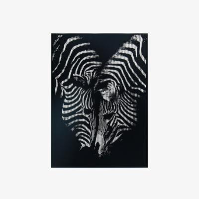 The Range Zebra Mirage Framed Wall Art - Black