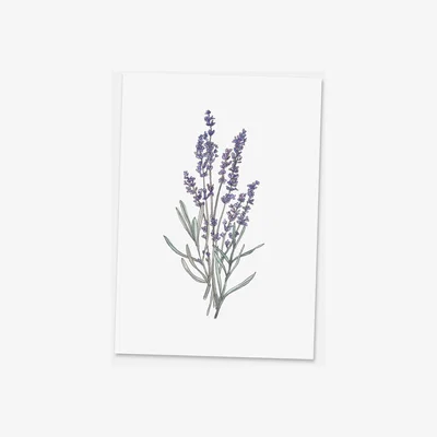The Range Botanical Lavender - The Westgate Collection