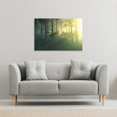 The Range sun, trees in a haze of light, glowing fog among the trees Canvas Print - Green / 114cm / 77cm
