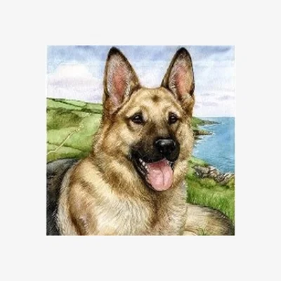The Range German Shepherd Diamond Painting Kit - Multi