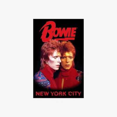 The Range David Bowie New York City Textile Poster - Multicoloured