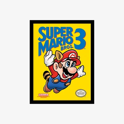 The Range Super Mario Bros. 3 (NES Cover) Framed Print