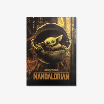 The Range The Mandalorian The Child Canvas