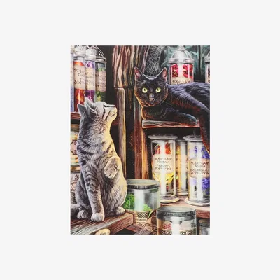 The Range Magical Emporium 19x25 Canvas Wall Plaque - Brown