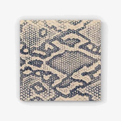 The Range Snake Skin HD Metal Print - Grey / 30cm