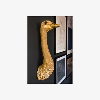 Rockett St George Gold Ostrich Head Wall Decoration