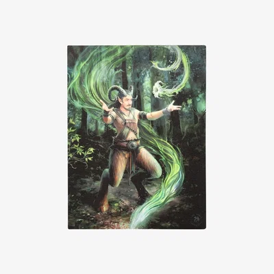 The Range Earth Element Wizard Canvas Plaque by Anne Stokes - Green