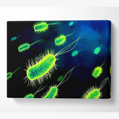 The Range Manifestation Canvas Print Wall Art - Black / 101.6cm
