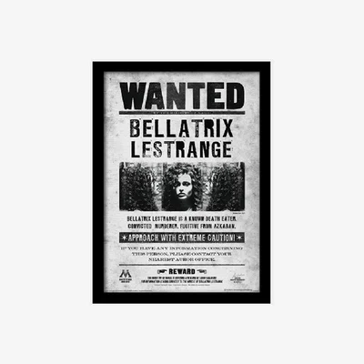 The Range Harry Potter (Bellatrix Wanted) Framed Print