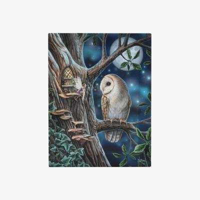 The Range Magical Owl and Fairy Small Printed Canvas - Multicolour