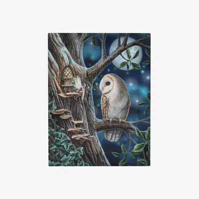 The Range Magical Owl and Fairy Small Printed Canvas - Multicolour