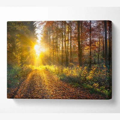 The Range Woodland Walk In the Autumn - Yellow / Medium 20 x 32 Inches